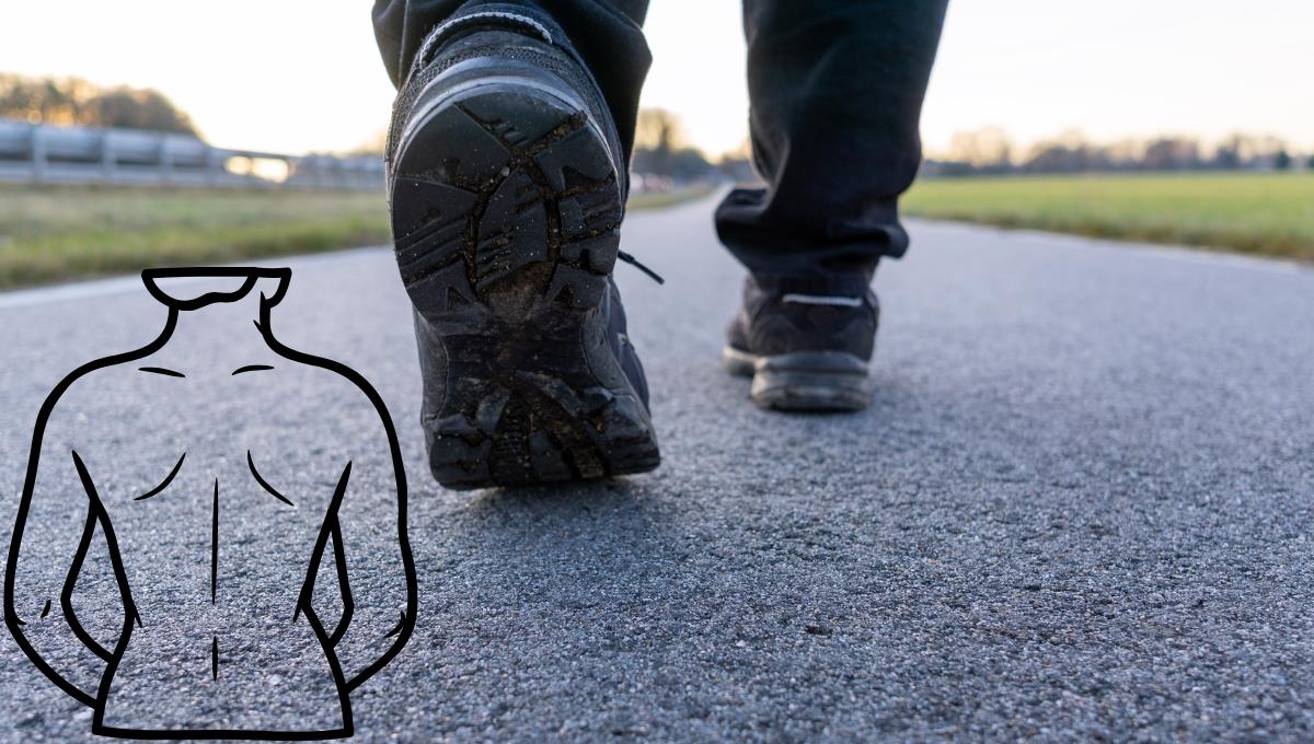 El ejercicio caminado en forma especial para fortalecer la espalda